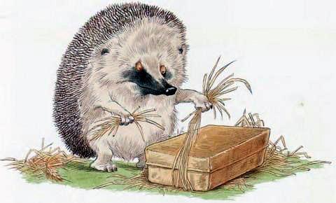 Про Ёжика и Кролика: Подарки в день рождения (сказка) Ёжик и коробка