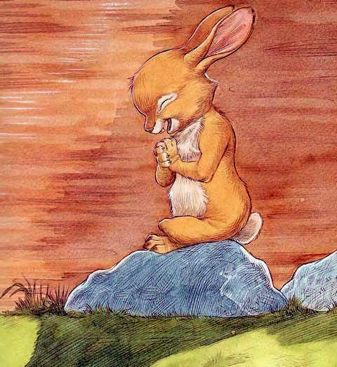 Про Ёжика и Кролика: Подарки в день рождения (сказка) Ёжик и Кролик