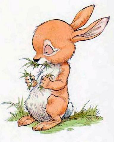 Кролик ест траву