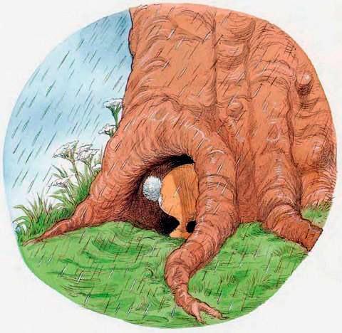 Про Ёжика и Кролика: Мечты сбываются (сказка) Кролик спрятался от дождя под корни дерева