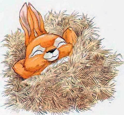 Про Ёжика и Кролика: Мечты сбываются (сказка) Ёжик и Кролик