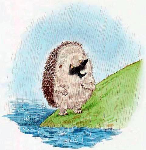 Ёжик под дождем