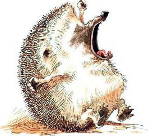 Ёжик кричит