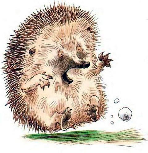 Про Ёжика и Кролика: Кусочек зимы (сказка) Ёжик и холодный снег