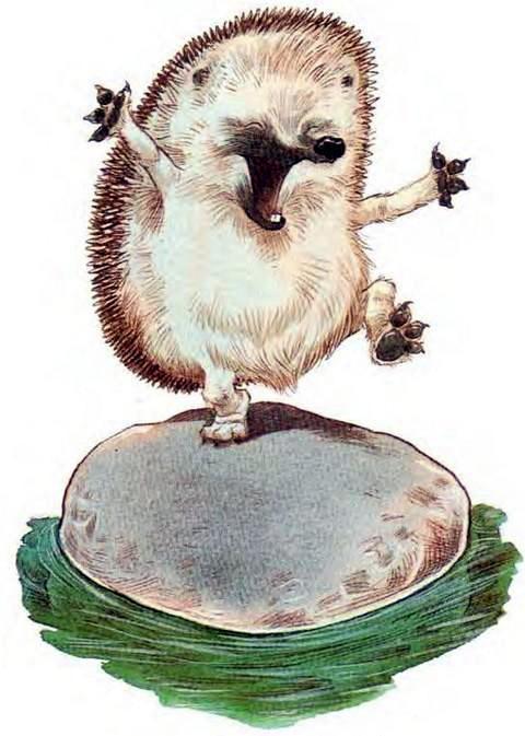 Про Ёжика и Кролика: А ну-ка, вспоминай! (сказка) Ёжик на камне над рекой