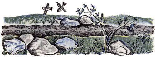 Про бедного человека и Вороньего царя