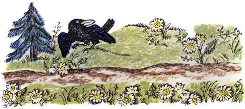 Про бедного человека и Вороньего царя