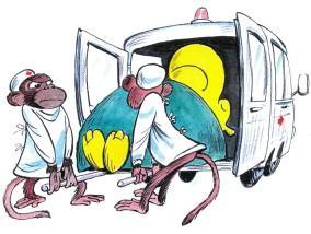 госпитализация бегемота желтуха гепатитскорая помощь