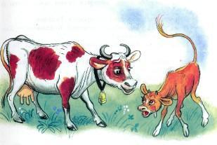 Сказка: Про козленка который умел считать до десяти (иллюстрации: Сутеев В.) корова и теленок