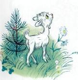 Сказка: Про козленка который умел считать до десяти (иллюстрации: Сутеев В.) козленок