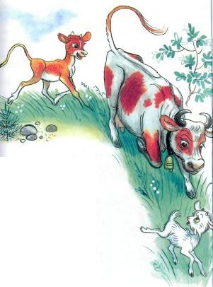 Сказка: Про козленка который умел считать до десяти (иллюстрации: Сутеев В.) корова и теленок гонятся за козленком