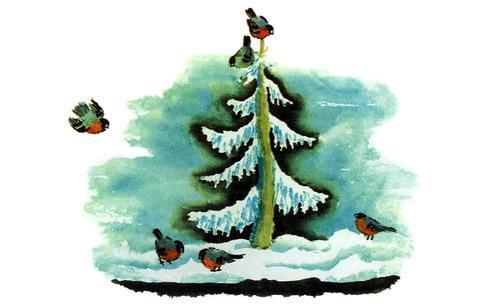 Иней лёг на ветви ели