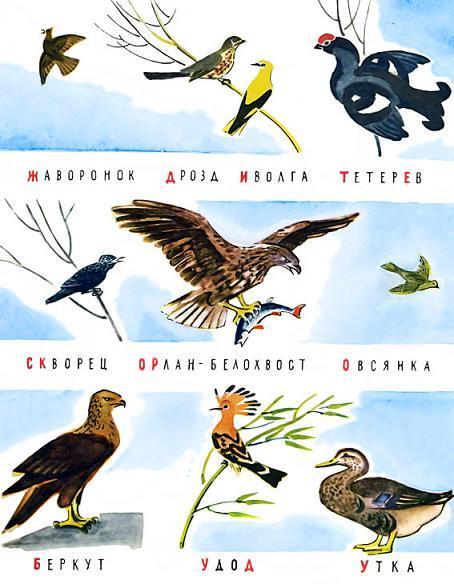 Новые проделки Хитрюшкина (рассказ) дикие птицы