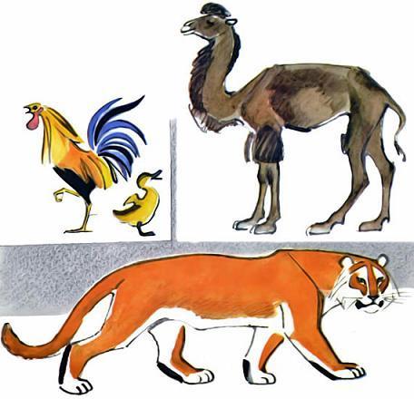 верблюд и тигр