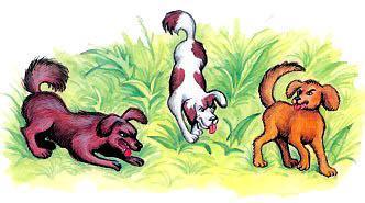 Прохожие и Собаки (басня) Собаки