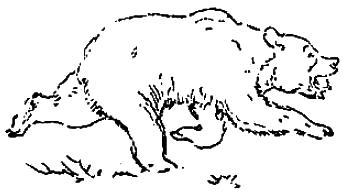 Пропавший медведь (рассказ) 038