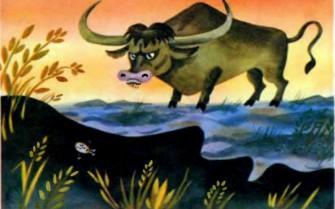 буйвол бык як телец