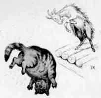 козел и кошка