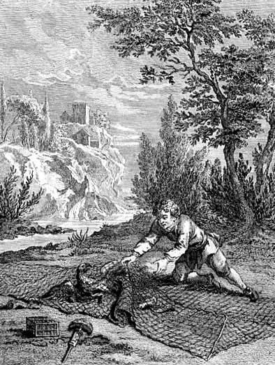 Птицелов, ястреб и жаворонок