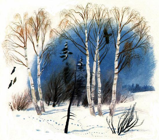 следы на снегу в лесу