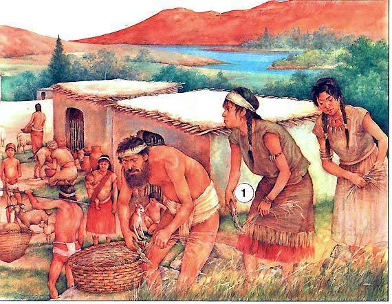 Первые земледельцы Месопотамии при уборке пшеницы использовали каменные ножи