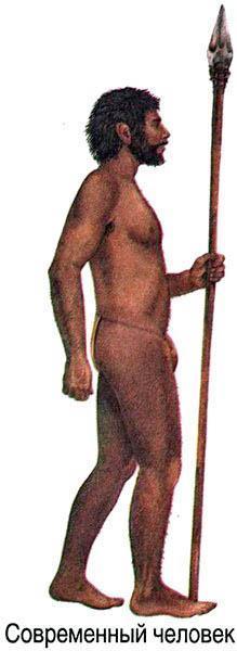 Путешествие в древний мир (энциклопедия) Homo sapiens sapiens появились приблизительно 125.000 лет