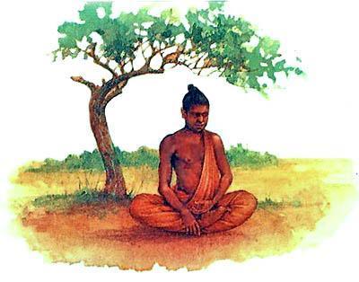 Будда обрел просветление, сидя под фиговым деревом.