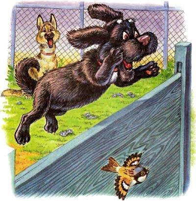 Пузик и Тузик идут по следу (сказка) пёс Тузик перепрыгивает берет барьер