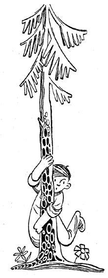 Пять Робинзонов