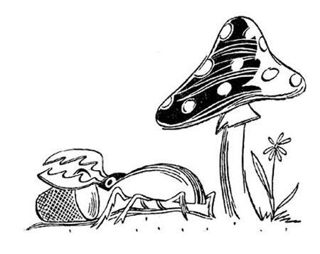 Пять Робинзонов