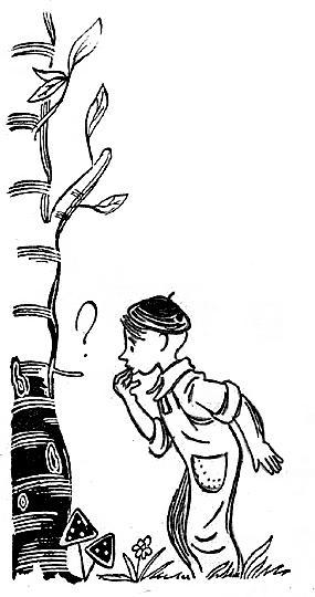 Пять Робинзонов