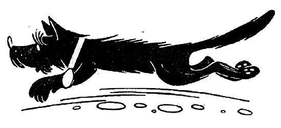 Пять Робинзонов