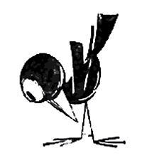 Пять Робинзонов