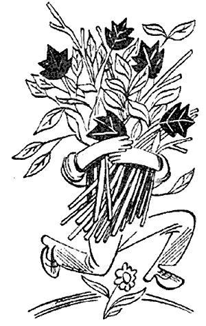 Пять Робинзонов