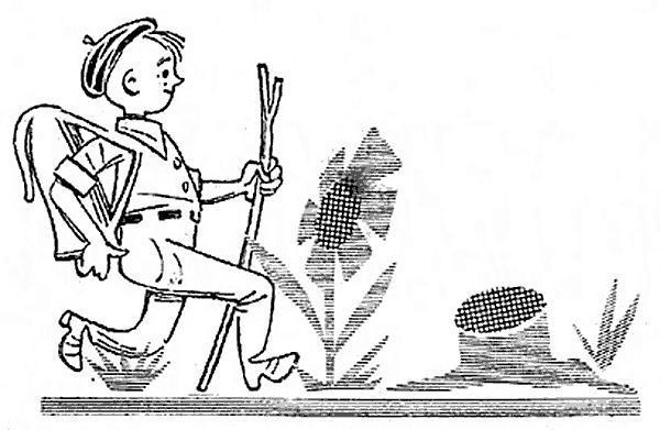 Пять Робинзонов