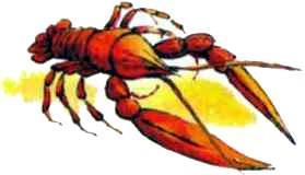 Пять забавных медвежат (сказочные истории) рак