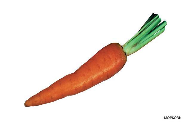 морковь