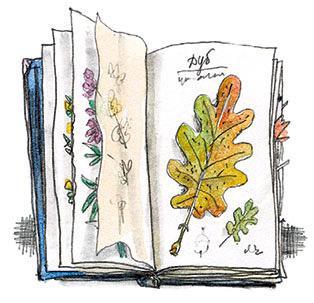 Рассказы о Минькином детстве 23