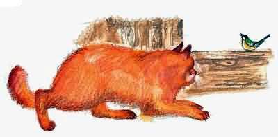 Рассказы о всякой живности Кот Рыжко охотится