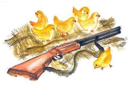 Рассказы о всякой живности цыплята и ружьё
