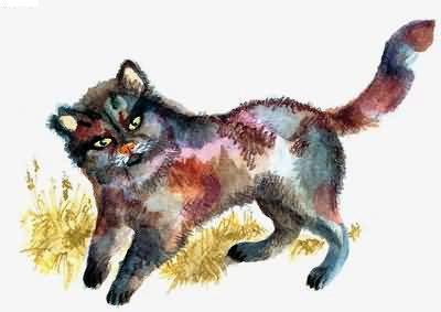 Рассказы о всякой живности кот