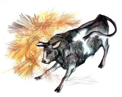 Рассказы о всякой живности бычок