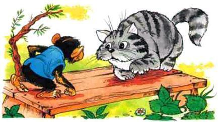 Рассказы о животных обезьянка и кот