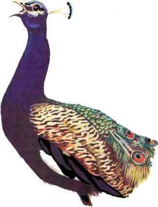 Рассказы о зоопарке