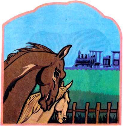 Рассказы о зоопарке