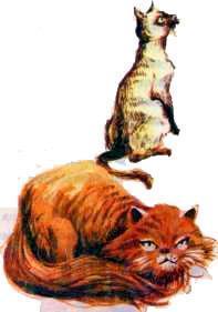 Рассказы о зоопарке