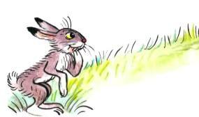 сказка: Разные колеса заяц