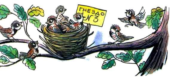 Ренатино не летает по воскресеньям (повесть) гнездо с птенцами