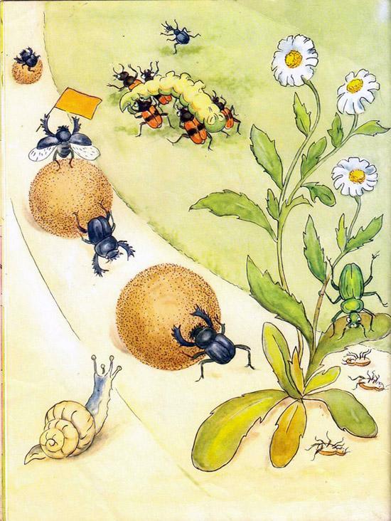 Репортаж со стадиона Жукамо Весёлые Могильщики тащат длинную гусеницу