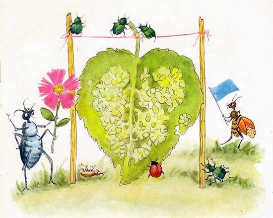 Репортаж со стадиона Жукамо Листоеды притащили берёзовый лист